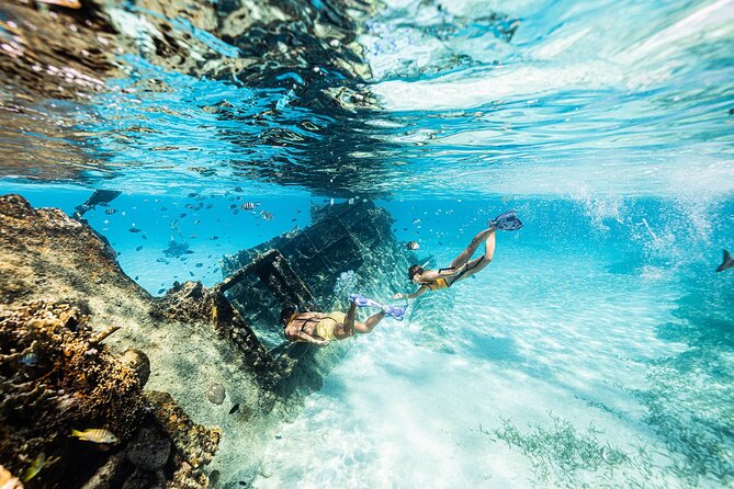 With Turtles, Shipwreck, Cenote, and Reef and Transport Included - Safety and comfort: small group attention in real conditions