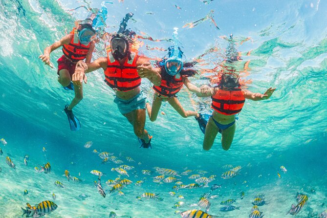 Xcaret Park Day Trip, transportation and Cultural Night Show - Photo Packages and Add-Ons: Where Your Budget Can Slip