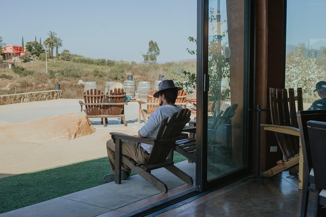 Xecue Wine Tasting in the Guadalupe Valley - Key highlights worth your attention