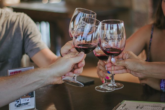 Xecue Wine Tasting in the Guadalupe Valley - The tasting lineup: 5 estate wines, with 3 reds plus rosé and white