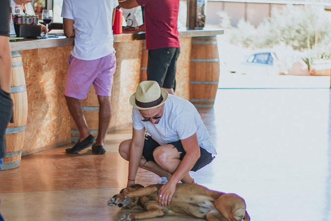 Xecue Wine Tasting in the Guadalupe Valley - Food pairing that actually fills the day: beef ribs and cheese board