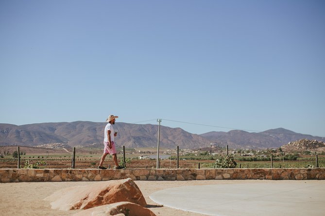 Xecue Wine Tasting in the Guadalupe Valley - Service and ambiance: why Leo and the staff make the difference