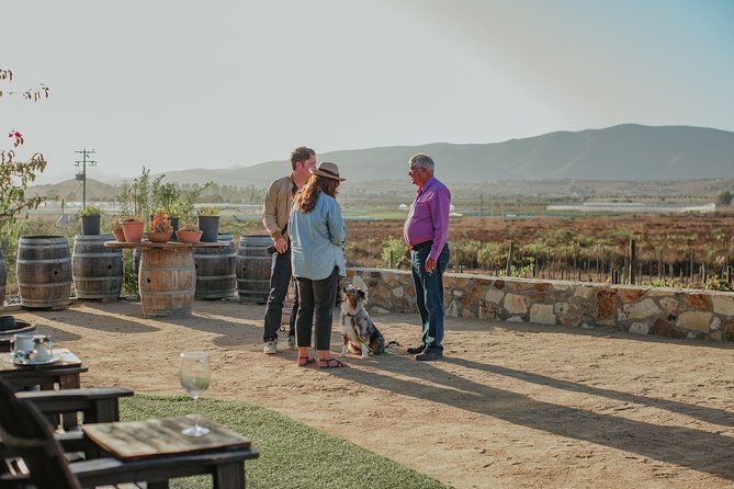 Xecue Wine Tasting in the Guadalupe Valley - Timing and practical logistics: choose a slot that matches your pace