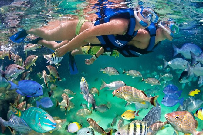 Xel ha All Inclusive - Why Xel-Ha feels like a natural snorkel day (not just a water park)