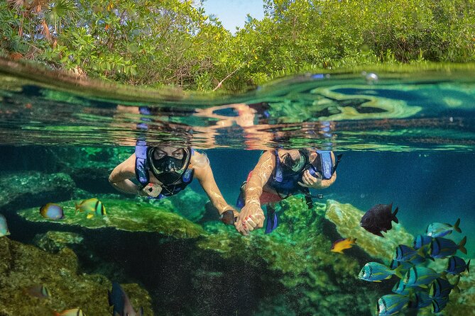 Xel-Ha Park Admission Tickets - Xel-Ha by the Caribbean, a Natural Park That Feels Like a Living Aquarium