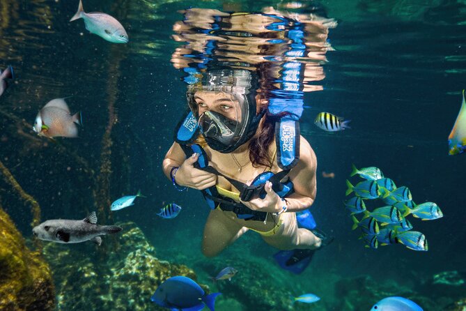 Xel-Ha Tickets with Transportation included - Ticket choice and value: Light vs All-Inclusive
