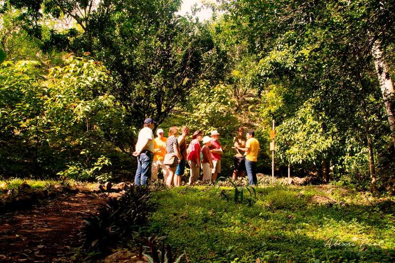 Xkopek, Mayan Bees Tour and Honey Tasting in Valladolid - Key things I’d circle on your itinerary