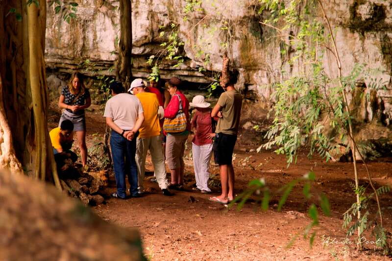 Xkopek, Mayan Bees Tour and Honey Tasting in Valladolid - Getting to Xkopek Parque Apícola, what to wear, and what to expect on the ground