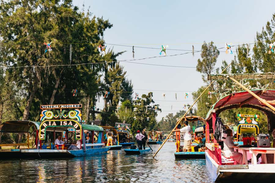Xochimilco: a traditional boat tour, culture, and fun. - Entering Xochimilco Through the Purple Arch at Las Flores Nativitas