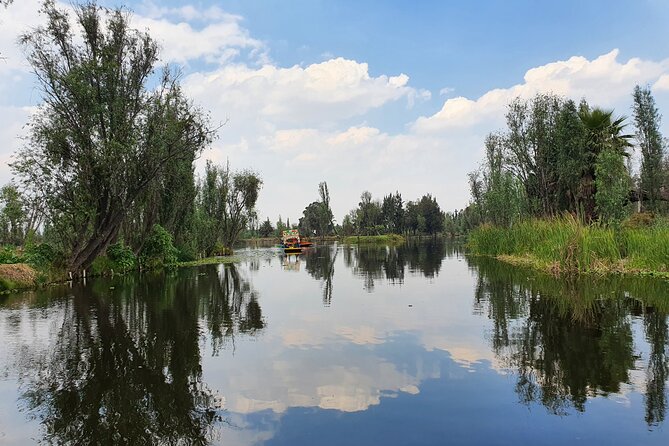 Xochimilco Barco Fiesta Tentacion 18+ with Open Bar and Tacos - Sliding Through Xochimilco’s Floating Gardens: What You See in Two Hours