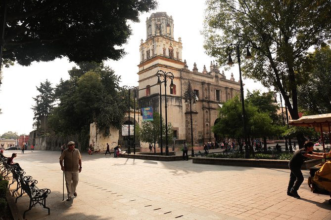 Xochimilco, Coyoacan and Frida Kahlo with Optional Lunch - Xochimilco by Trajinera: How the Chinampas Make the Canal World Work