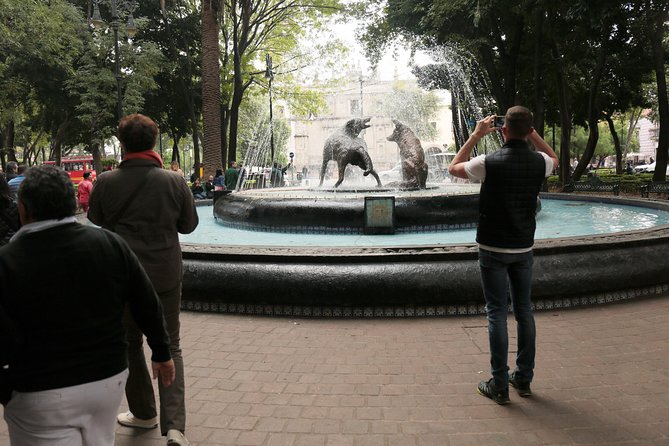 Xochimilco, Coyoacan and Frida Kahlo with Optional Lunch - Lunch on This Route: Worth It or Skip It?