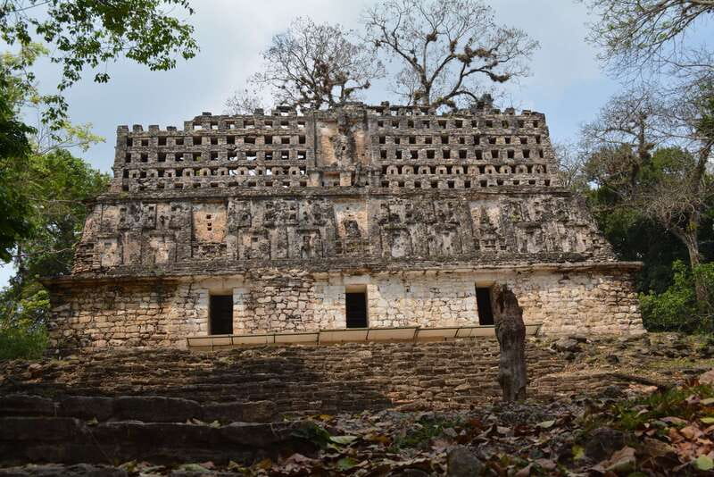 Yaxchilan & Bonampak Ruins and Lacandon Jungle from Palenque - Lacandon Jungle time: streams, endemic plants, and seeing a living borderland