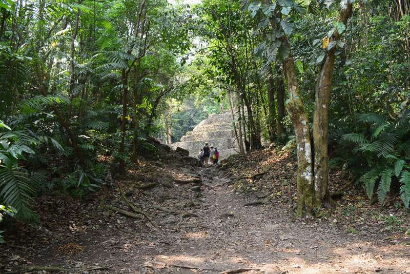 Yaxchilan & Bonampak Ruins and Lacandon Jungle from Palenque - The Frontera Corozal stop and the Yaxchilan boat ride