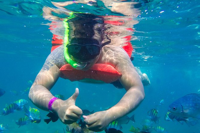Yelapa Waterfall, BBQ at Exclusive Majahuitas Beach & Open bar - The boat ride: views, whales and dolphins, and how the sea changes everything